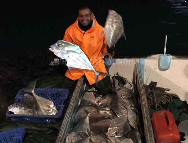  بالصور: اصطياد نحو 400 كيلو من أسماك "الجمل" النادرة على شواطئ مدينة يافا